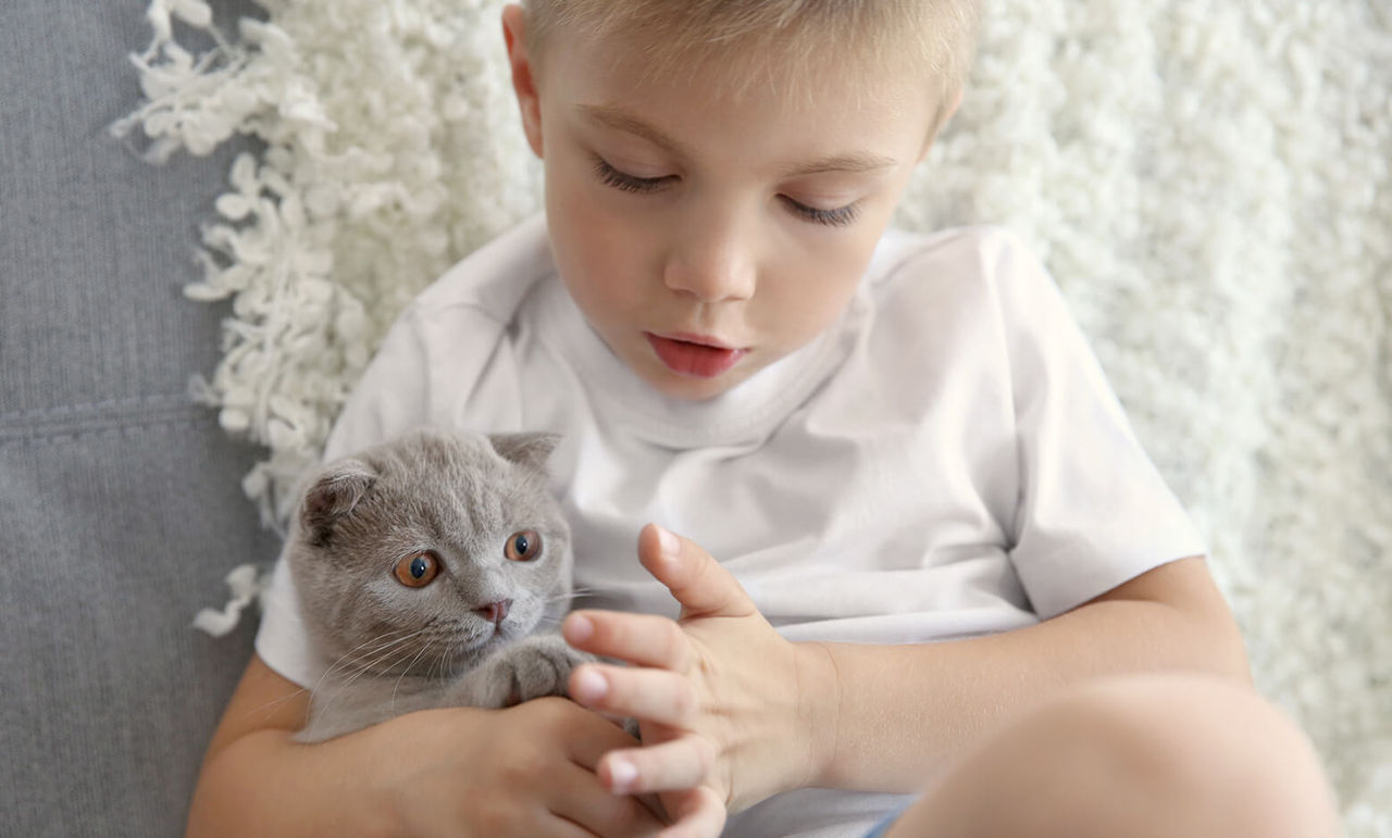 Pets: Do they enhance our immunity?