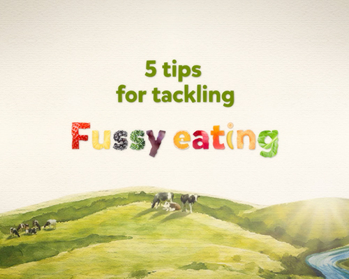 5 tips for fussy eating