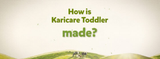 How is Karicare Toddler made?