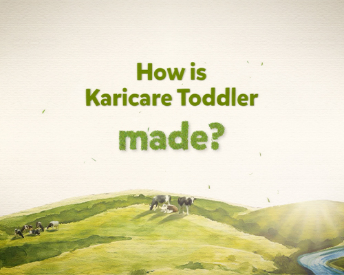 How is karicare toddler made video