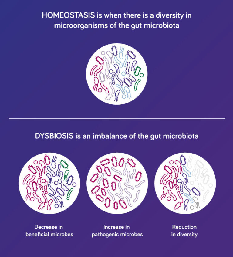 Gut Dysbiosis - Paediatrics | Nutricia