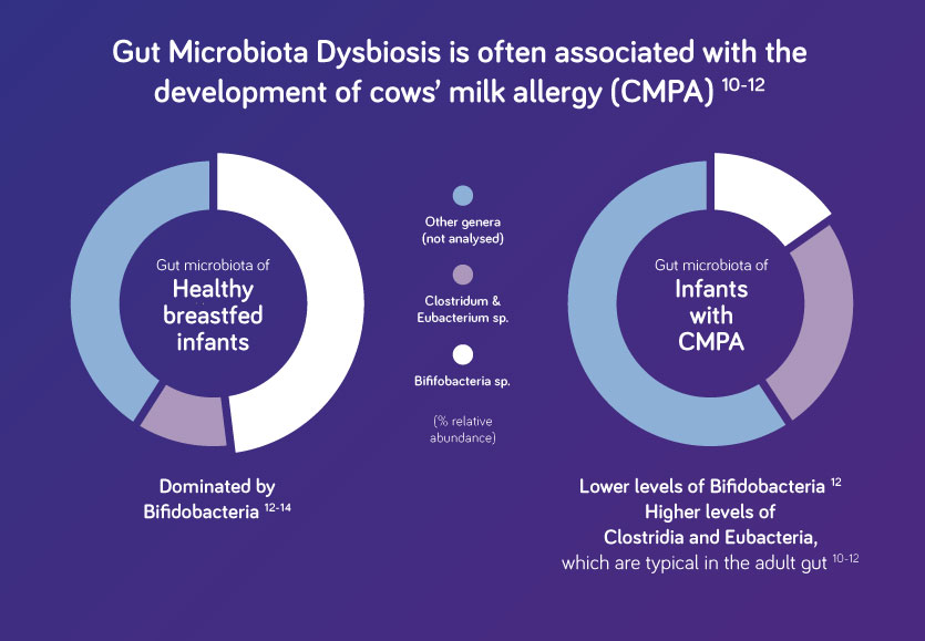 gut microbiota and CMPA