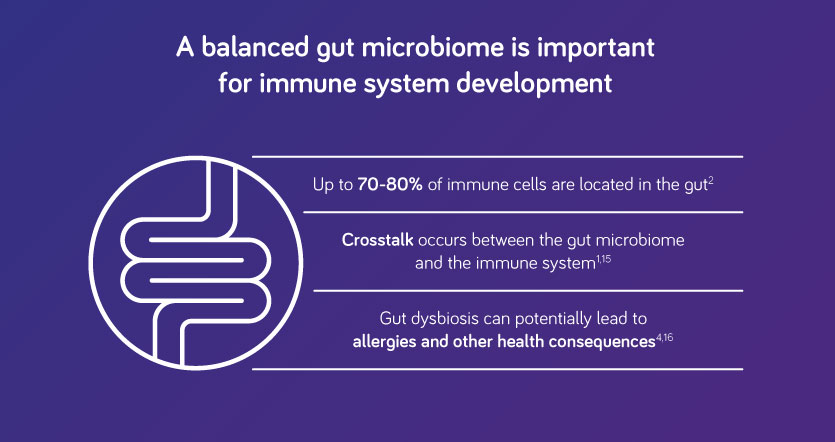 balanced gut microbiome
