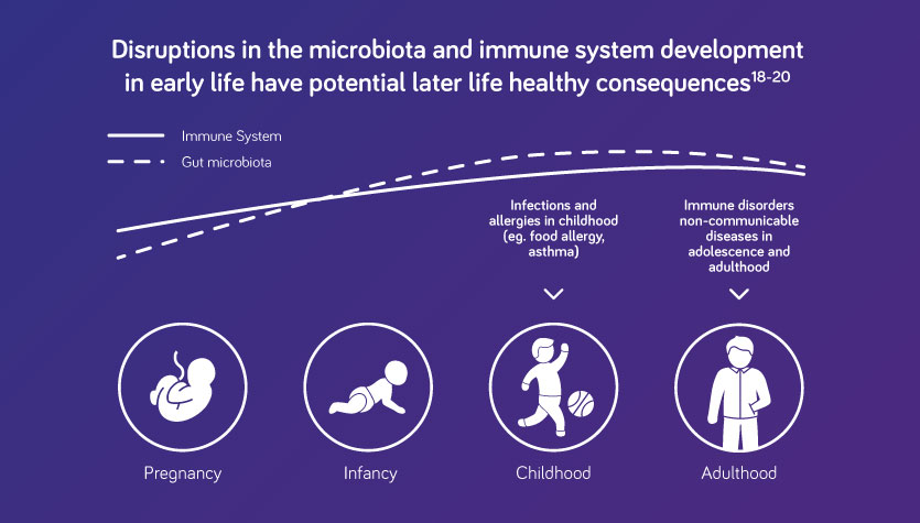 gut microbiota and immune system