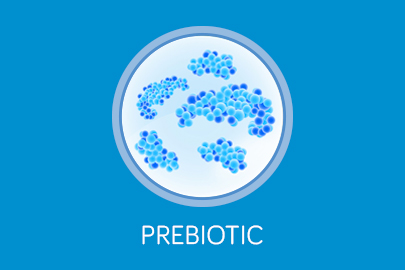 Unique prebiotic blend